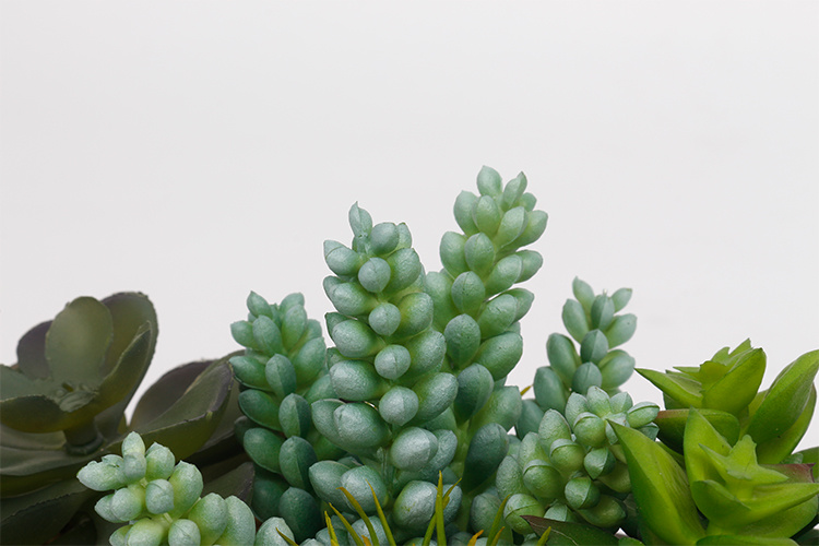 Artificial-Succulent-Plants-in-Pots-Arrangement-Succulents-Bonsai-for-Home-Hotel-Decoration (4).jpg 